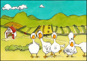 Illustration of ducks by Elizabeth Stewart